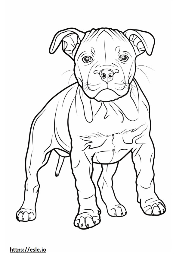 Bebé Staffordshire Terrier americano para colorear e imprimir