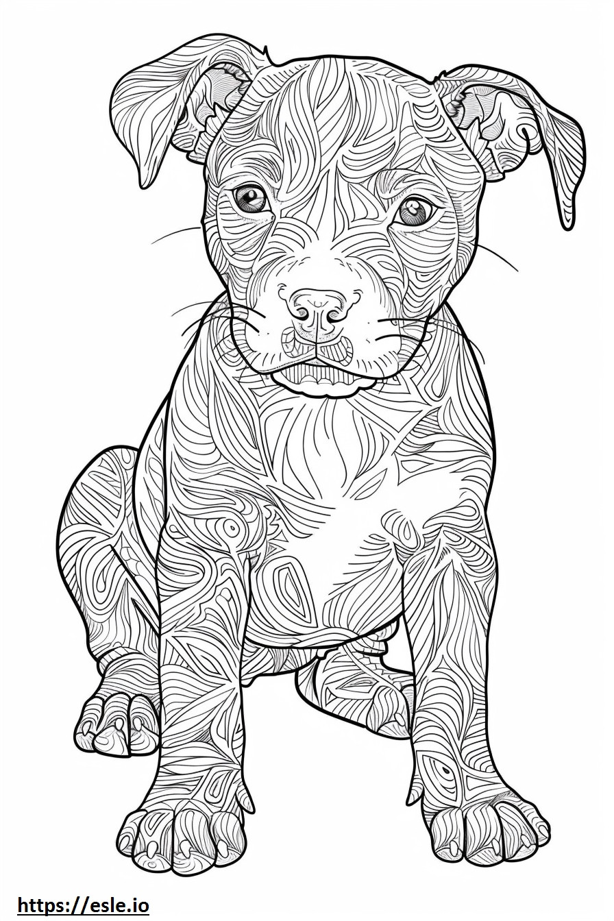 Coloriage Bébé American Staffordshire Terrier à imprimer