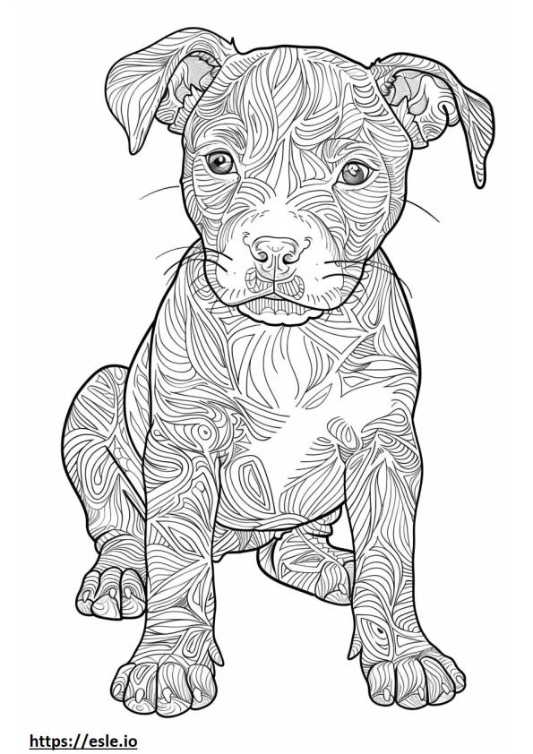 Cucciolo di American Staffordshire Terrier da colorare