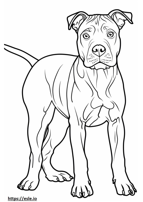 Desenho animado do American Staffordshire Terrier para colorir