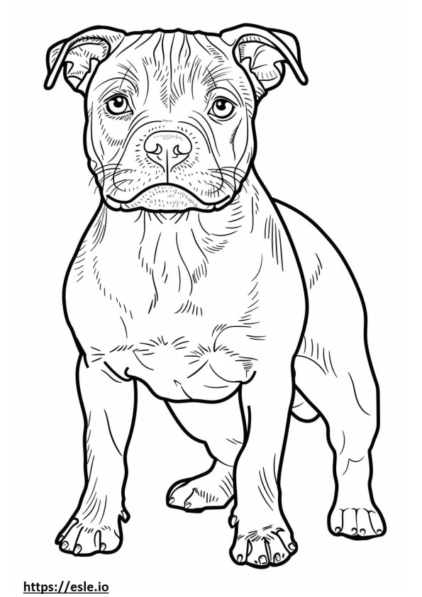 Kreskówka amerykańskiego Staffordshire Terriera kolorowanka