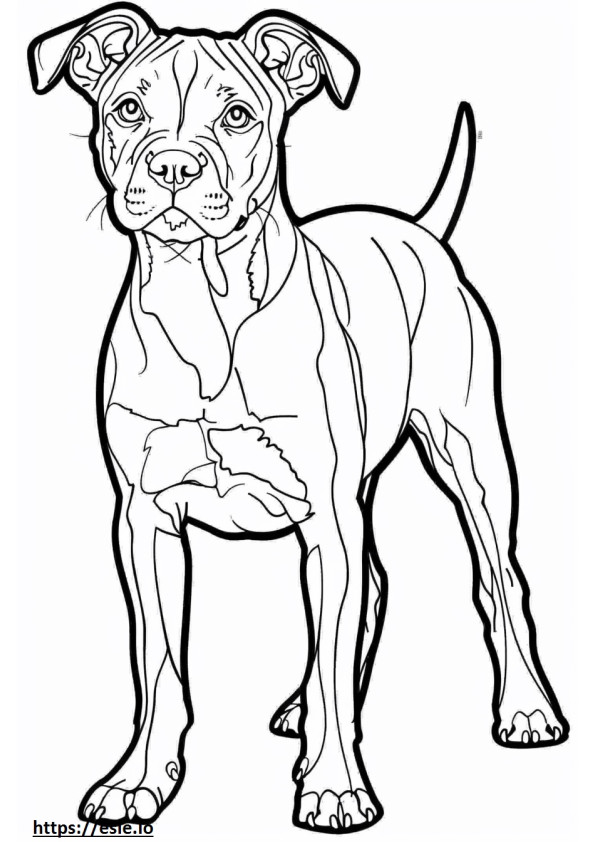 American Staffordshire Terrier cartoon coloring page