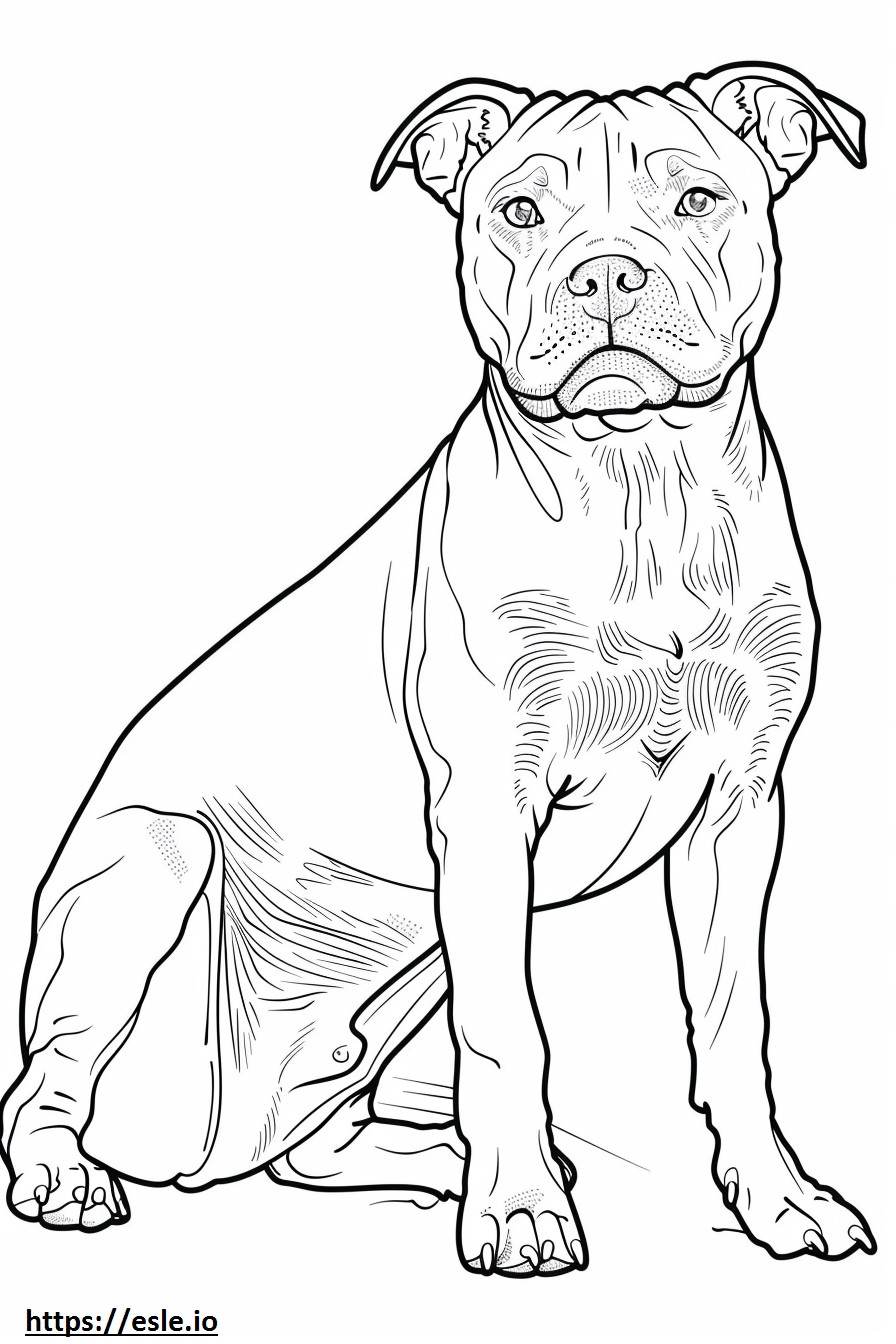 American Staffordshire Terrier fofo para colorir