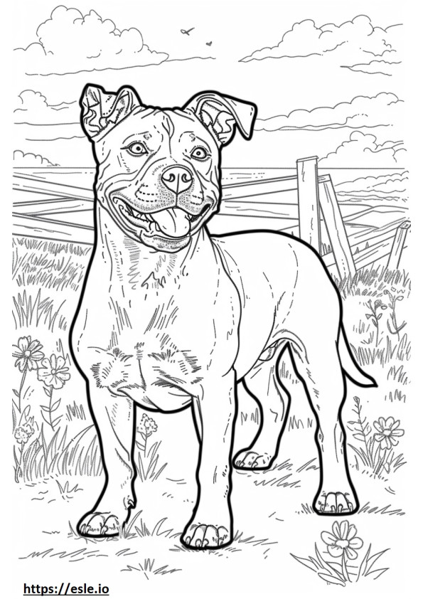 American Staffordshire Terrier feliz para colorear e imprimir