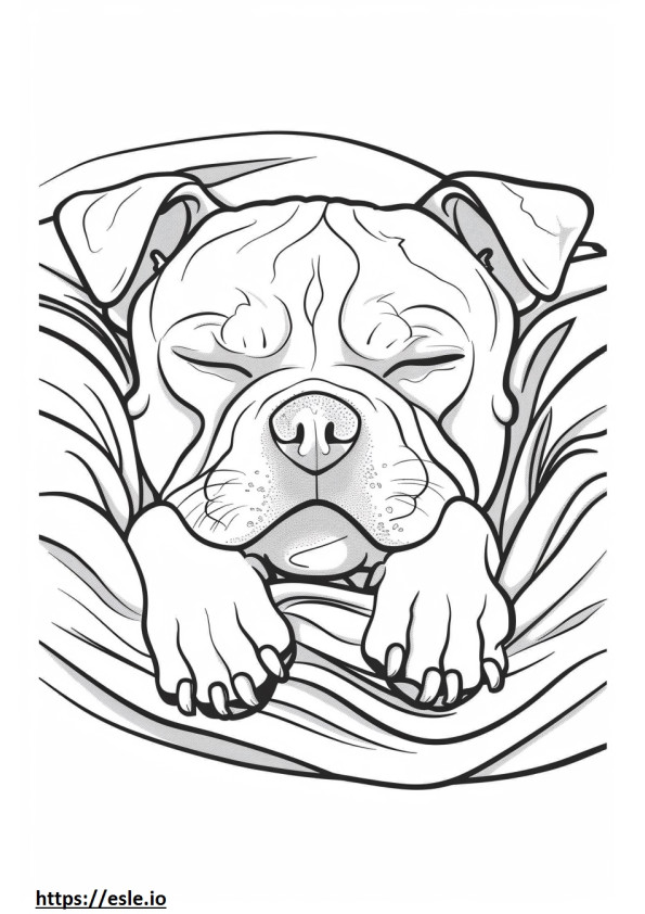 American Staffordshire Terrier durmiendo para colorear e imprimir