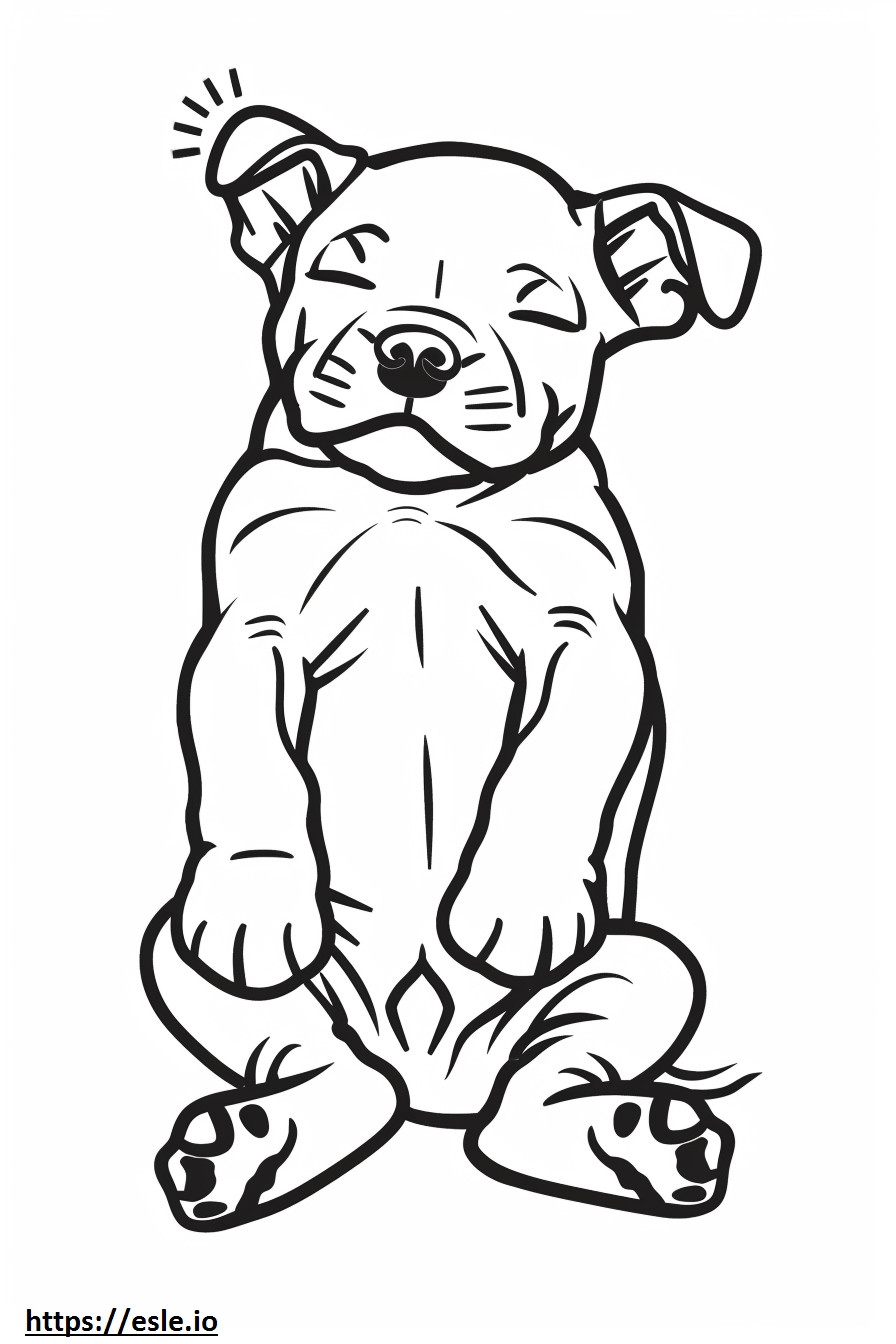 American Staffordshire Terrier Sleeping coloring page