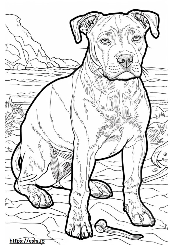 Jogo do American Staffordshire Terrier para colorir