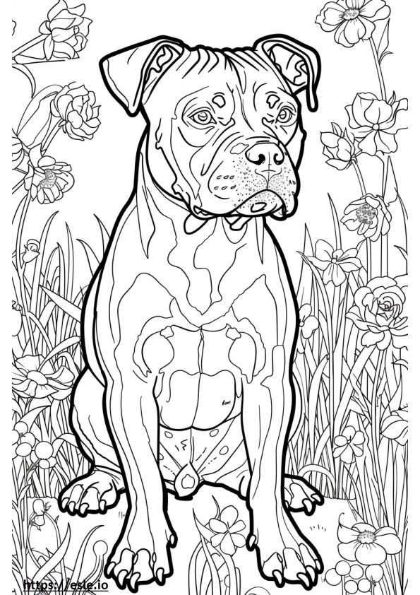 Coloriage American Staffordshire Terrier Kawaii à imprimer