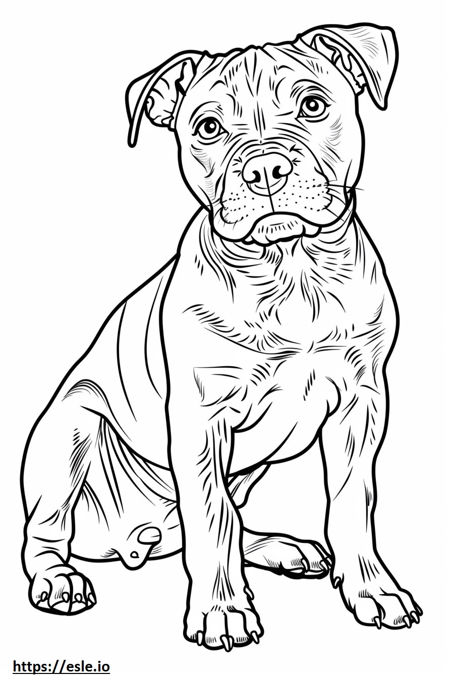 American Staffordshire Terrier Kawaii coloring page