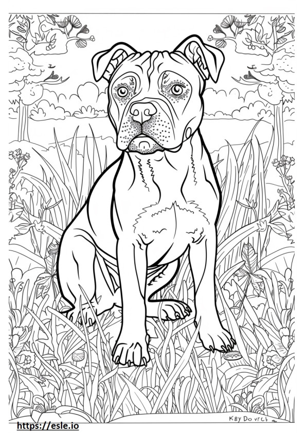 Staffordshire Terrier Americano Kawaii para colorear e imprimir
