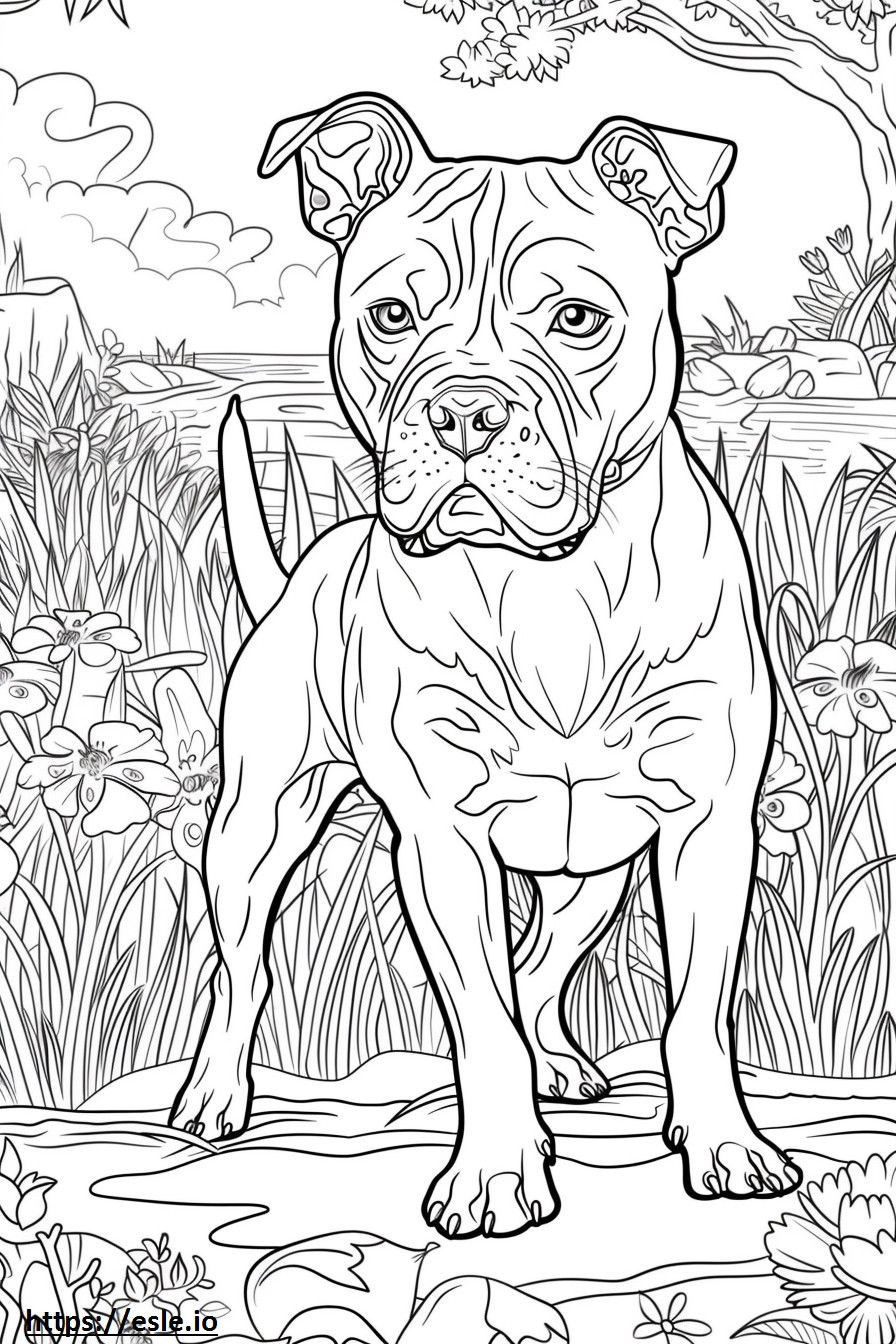 Staffordshire Terrier Americano Kawaii para colorear e imprimir
