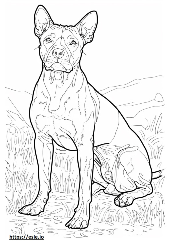 Amigable con el Staffordshire Terrier americano para colorear e imprimir