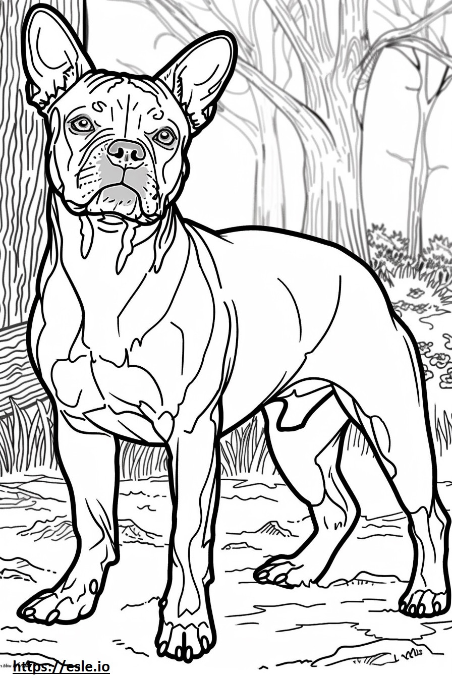Coloriage Amical pour le Staffordshire Terrier américain à imprimer