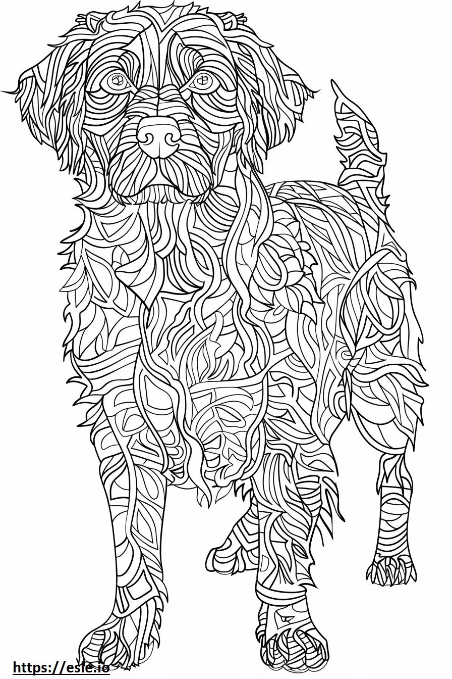 American Water Spaniel full body coloring page