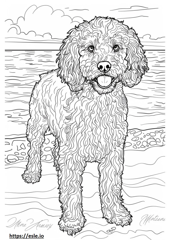 Dibujos animados de perro de agua americano para colorear e imprimir