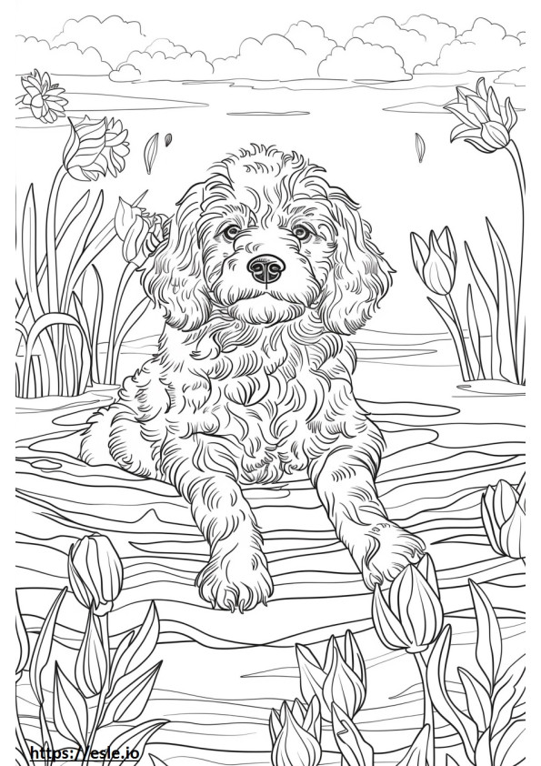 American Water Spaniel happy coloring page