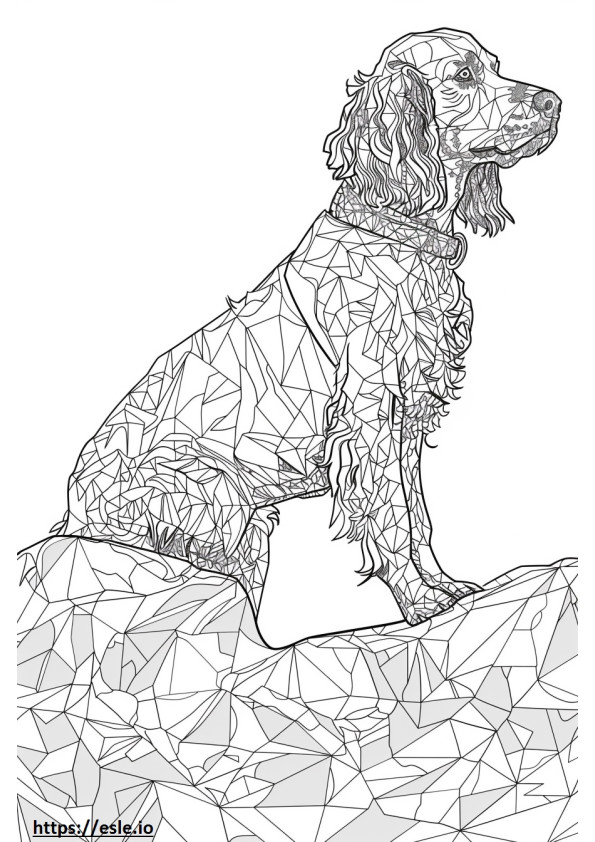 American Water Spaniel Playing coloring page