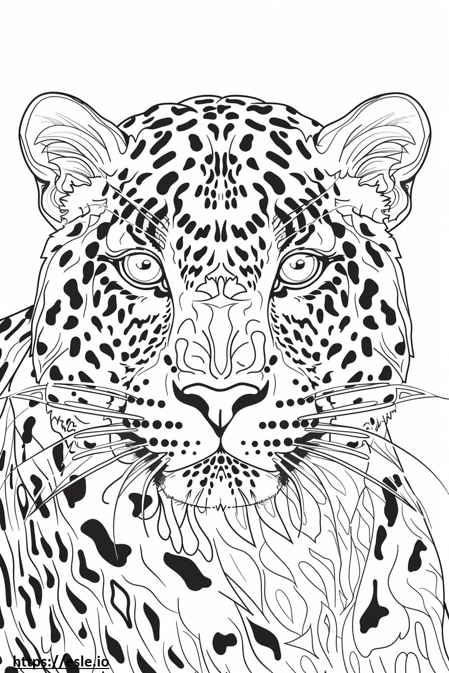 Fața de leopard Amur de colorat