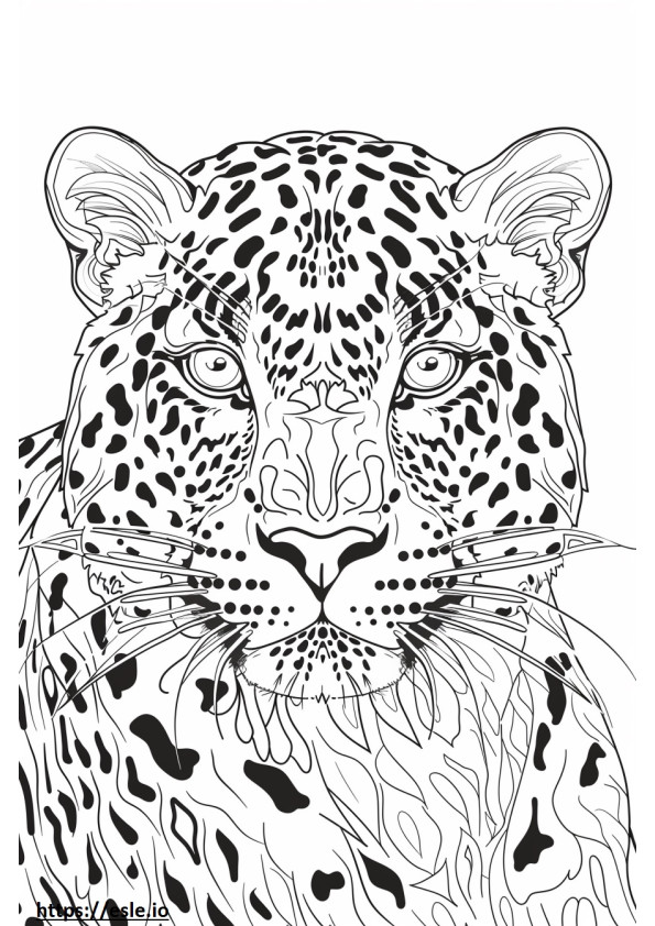 Amur-Leopardengesicht ausmalbild