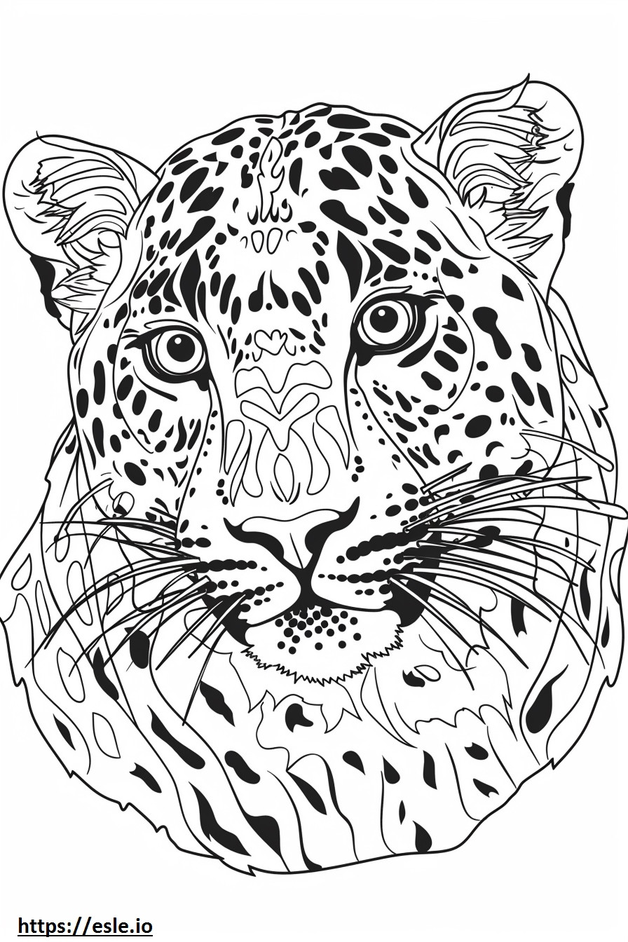 Amur Leopardin kasvot värityskuva