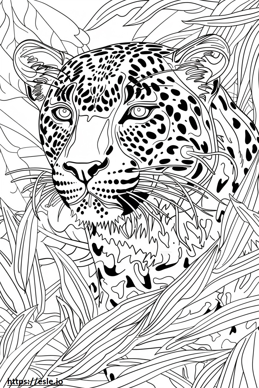 Amur Leopard face coloring page