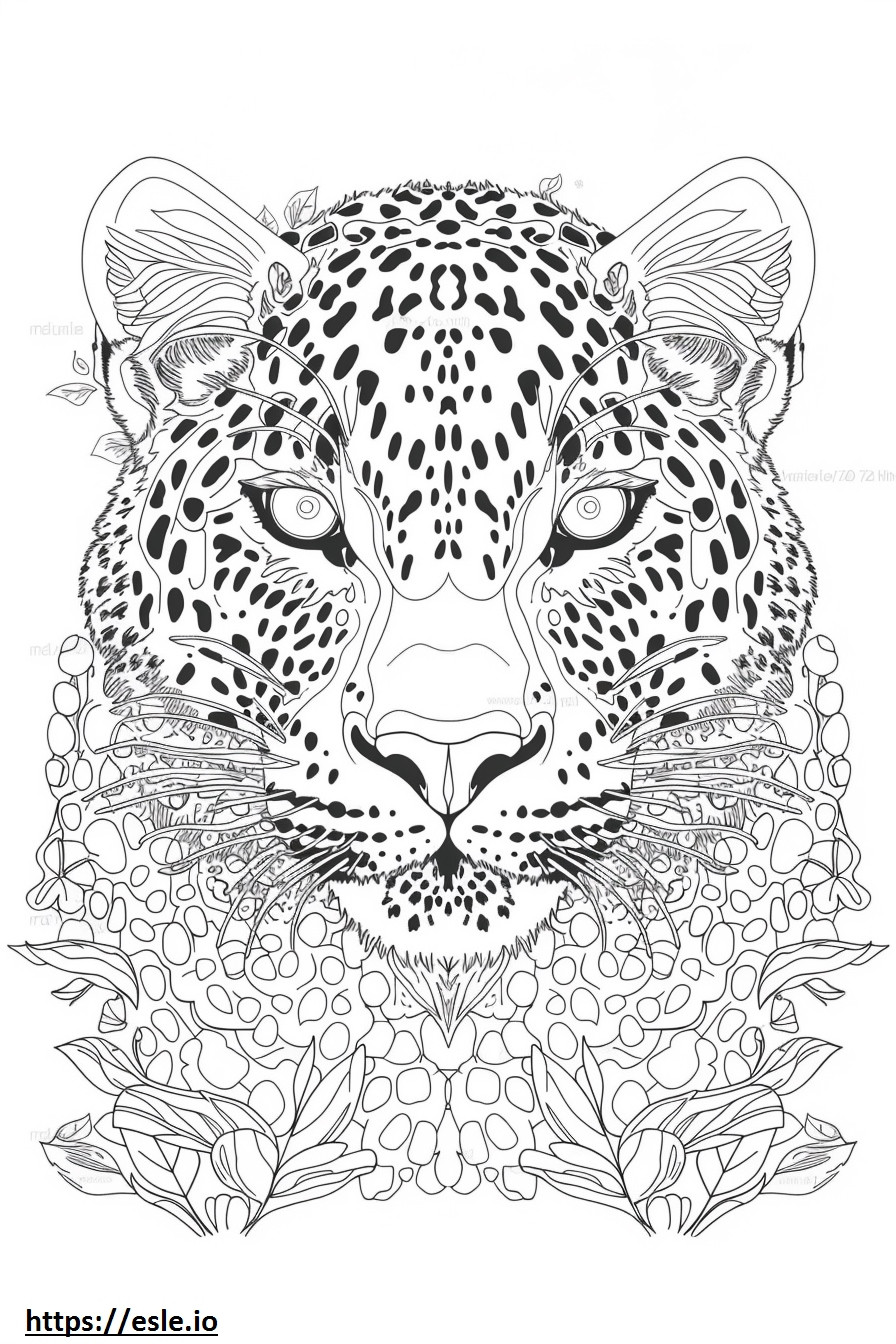 Fronte del leopardo dell'Amur da colorare