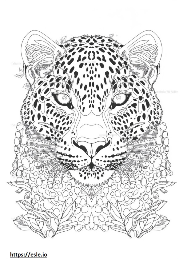 Cara de leopardo de Amur para colorir
