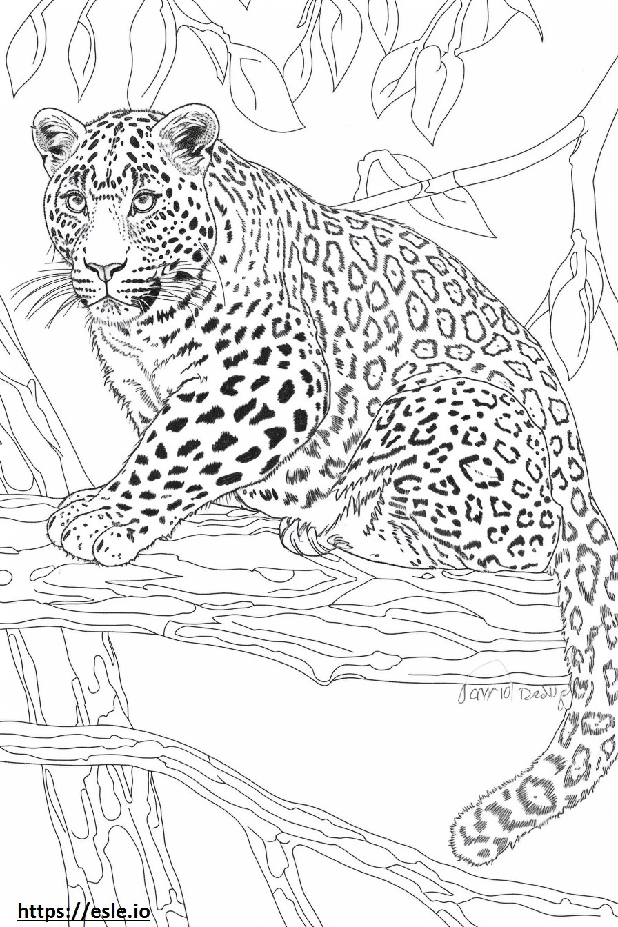 Leopardo de Amur de cuerpo entero para colorear e imprimir