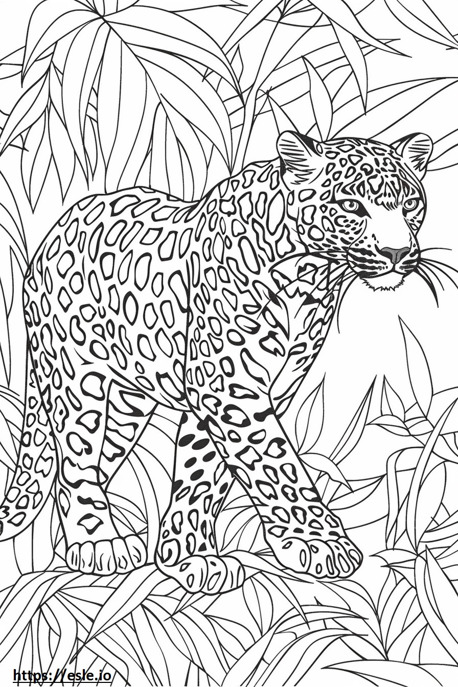 Leopardul Amur cu corp întreg de colorat