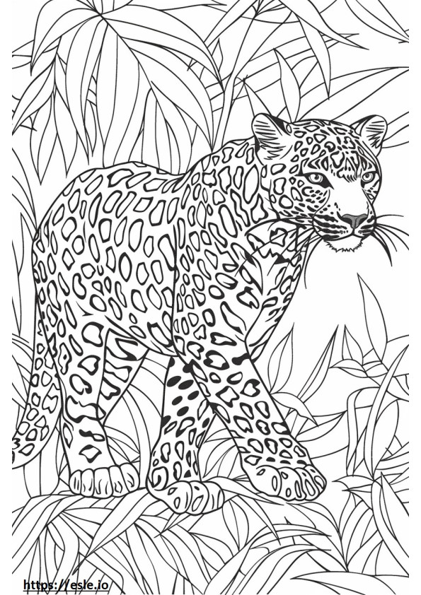 Amur Leopard full body coloring page