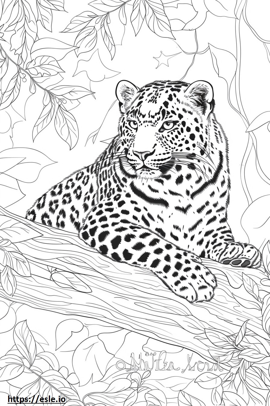 Amur Leopard full body coloring page