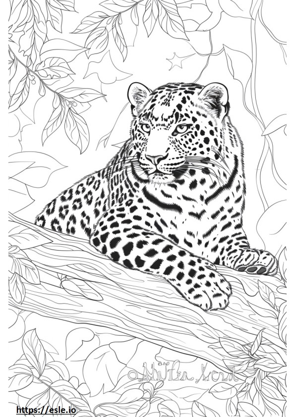 Amur Leopard teljes test szinező