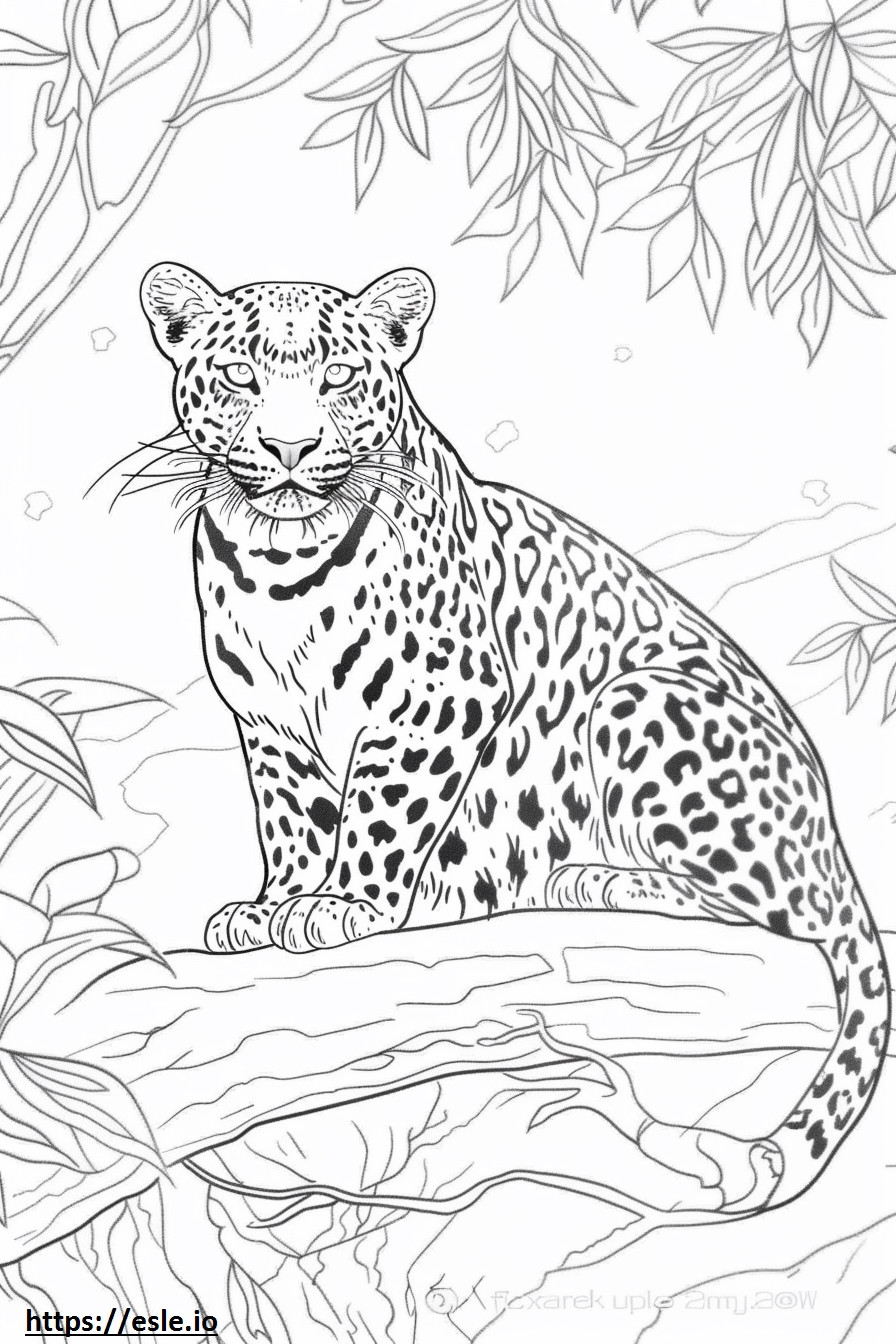 Amur Leopard koko vartalo värityskuva