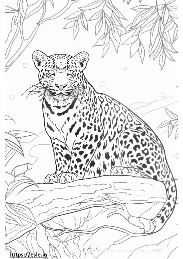 Corpo inteiro do leopardo de Amur para colorir