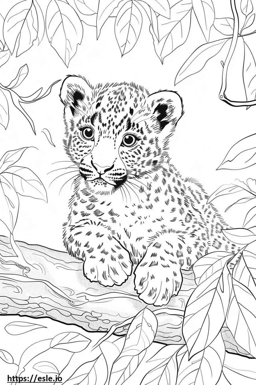 Bebé leopardo de Amur para colorear e imprimir