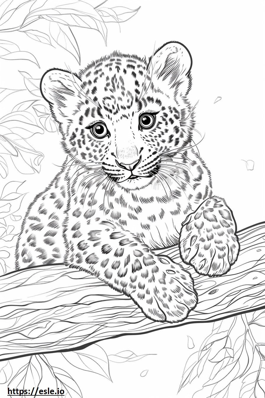 Amur Leopard baby coloring page