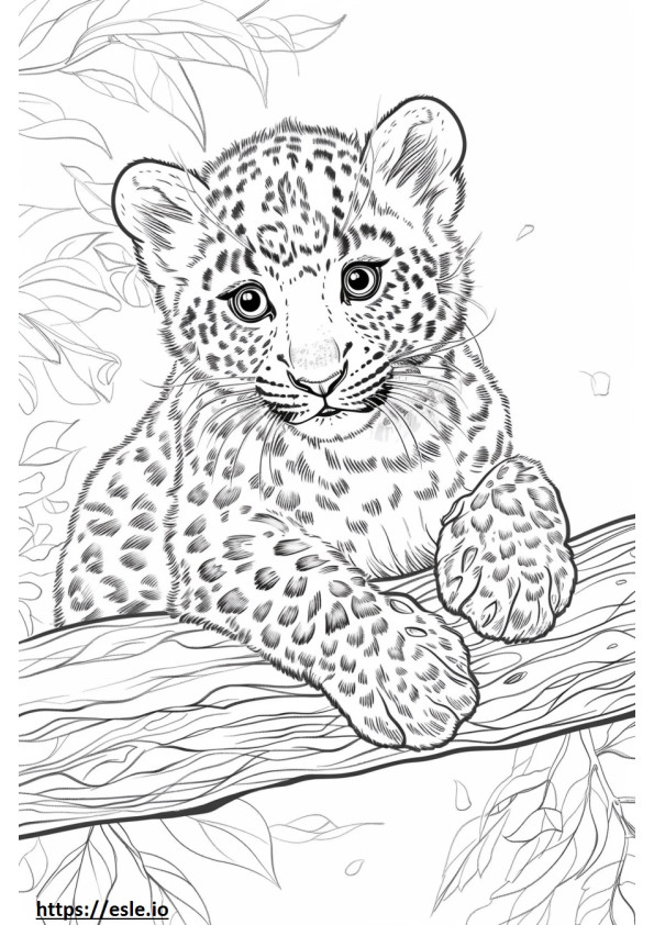 Amur Leopard vauva värityskuva