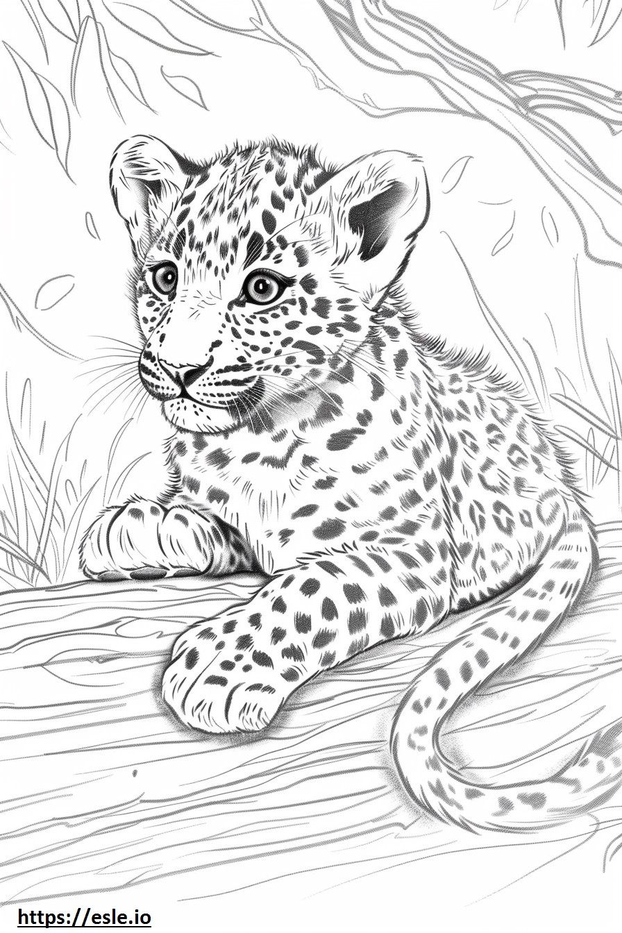 Amur-Leopardenbaby ausmalbild