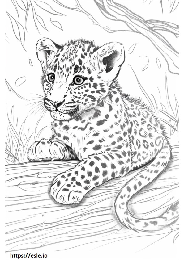 Copilul leopard de Amur de colorat