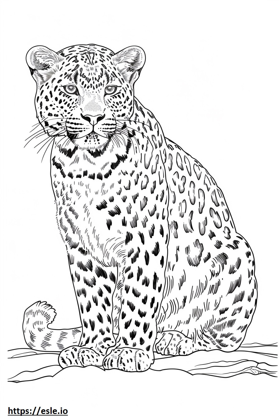 Amur Leopard -hymiö värityskuva
