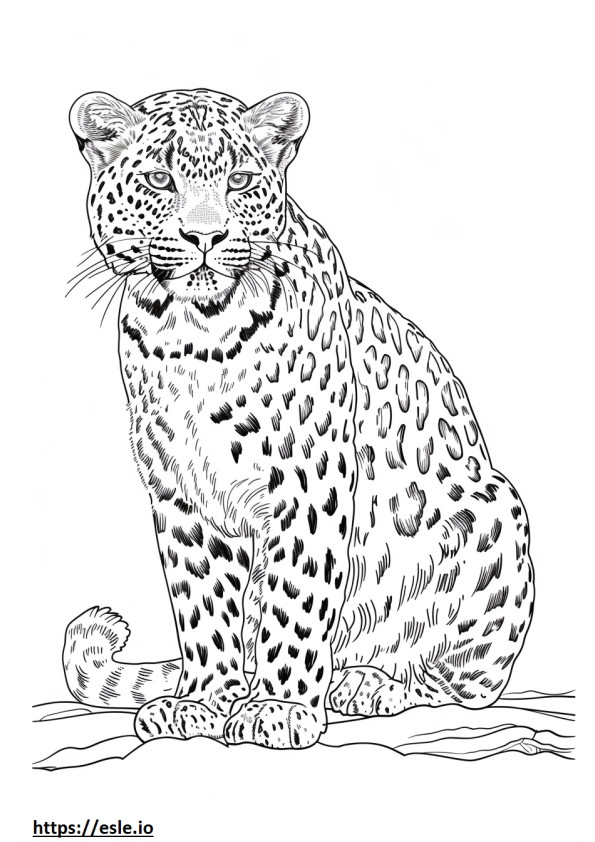 Amur Leopard smile emoji coloring page