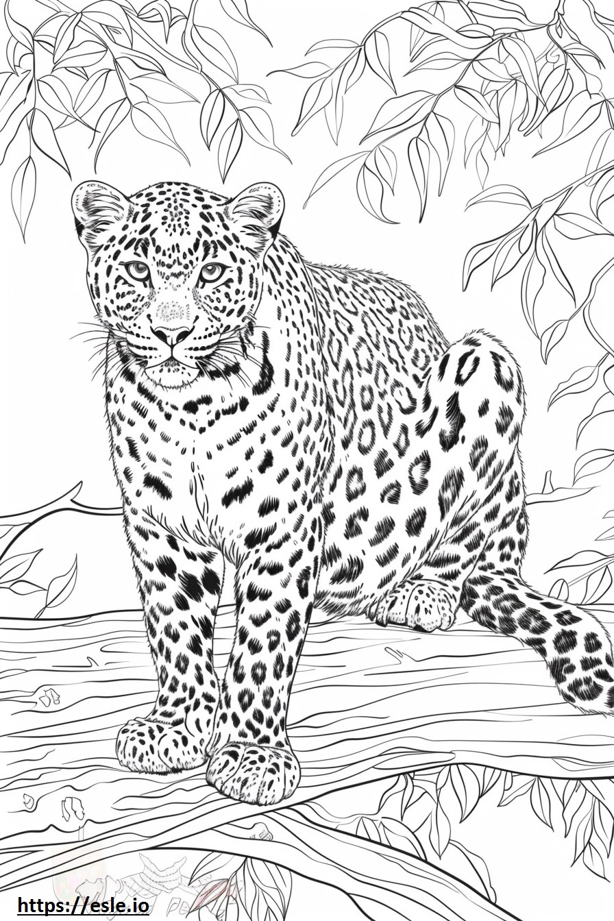 Amur Leopard sarjakuva värityskuva