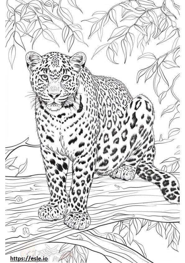 Dibujos animados de leopardo de Amur para colorear e imprimir