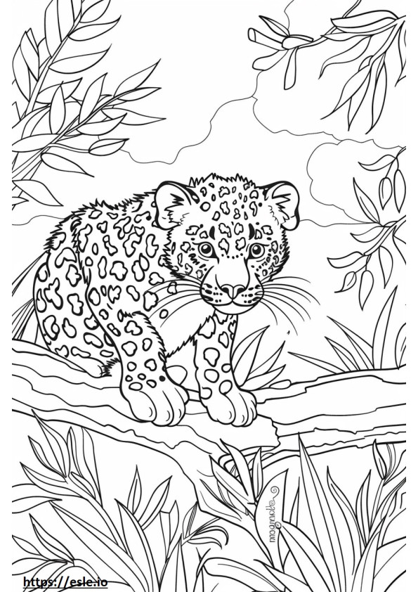 Desenho de leopardo de Amur para colorir