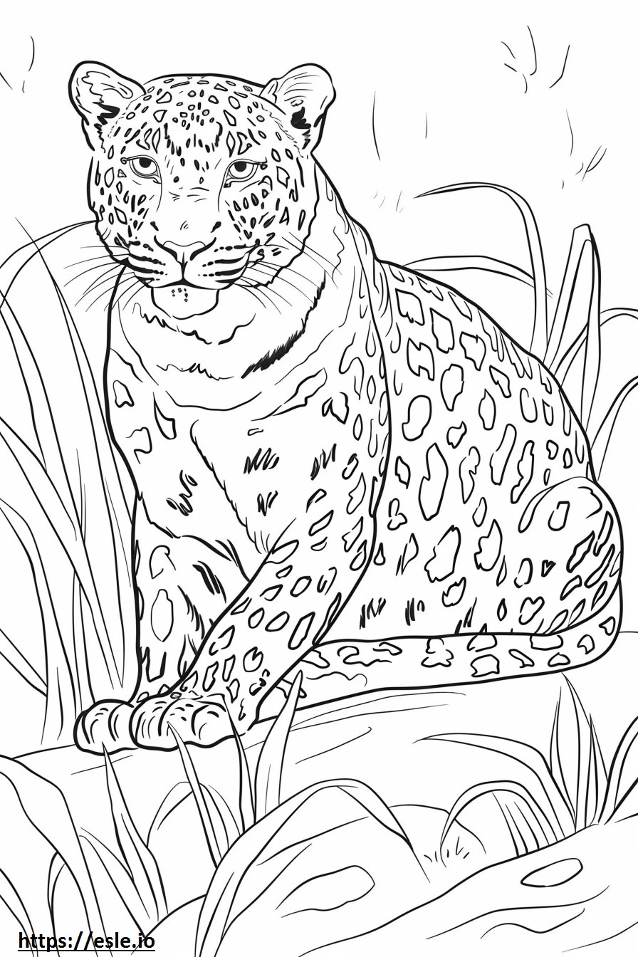 Amur-Leopard-Cartoon ausmalbild