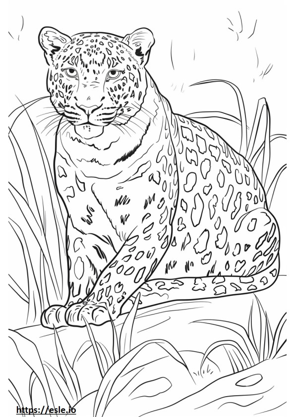 Amur Leopard cartoon coloring page