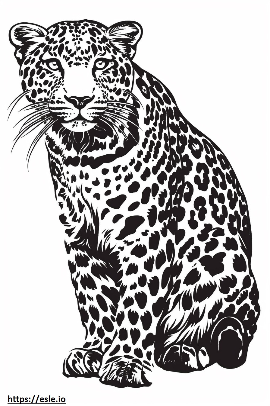 Amur-Leopard süß ausmalbild