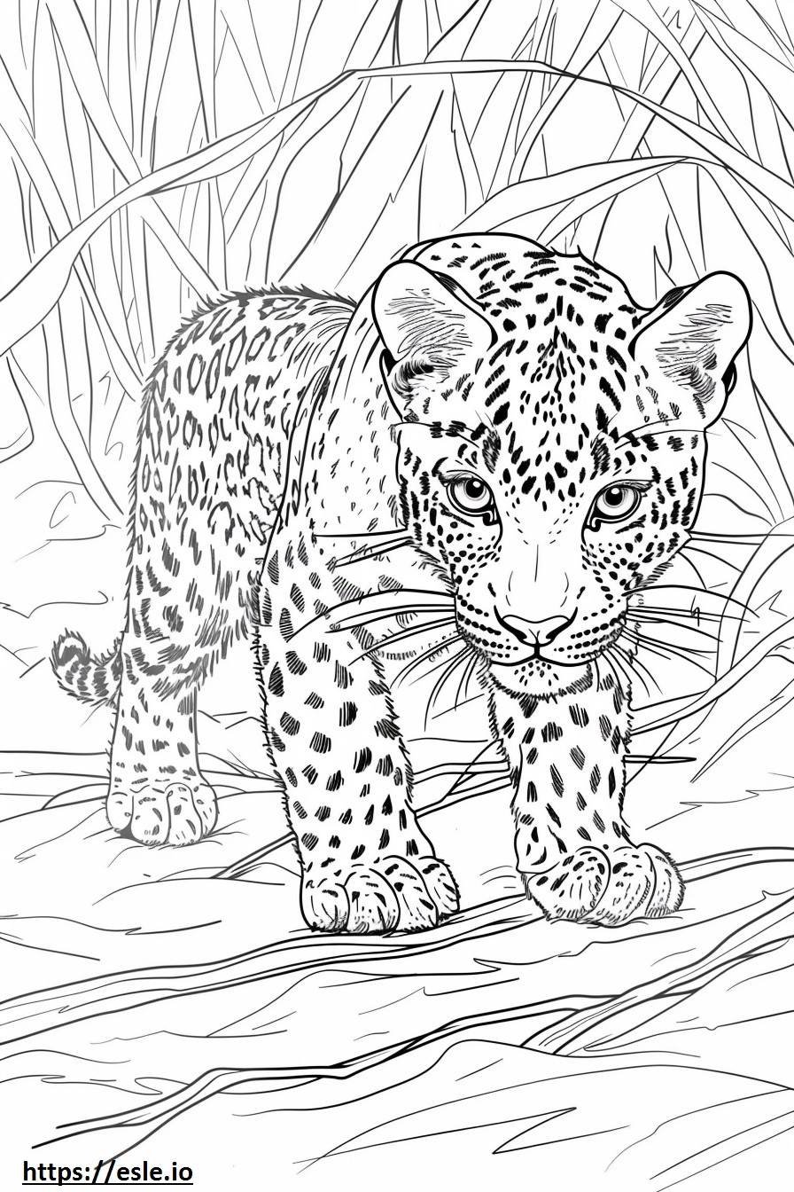 Amur Leopard cute coloring page