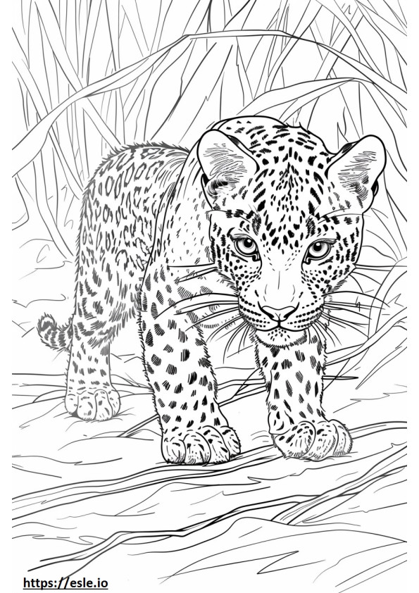 Amur Leopard cute coloring page