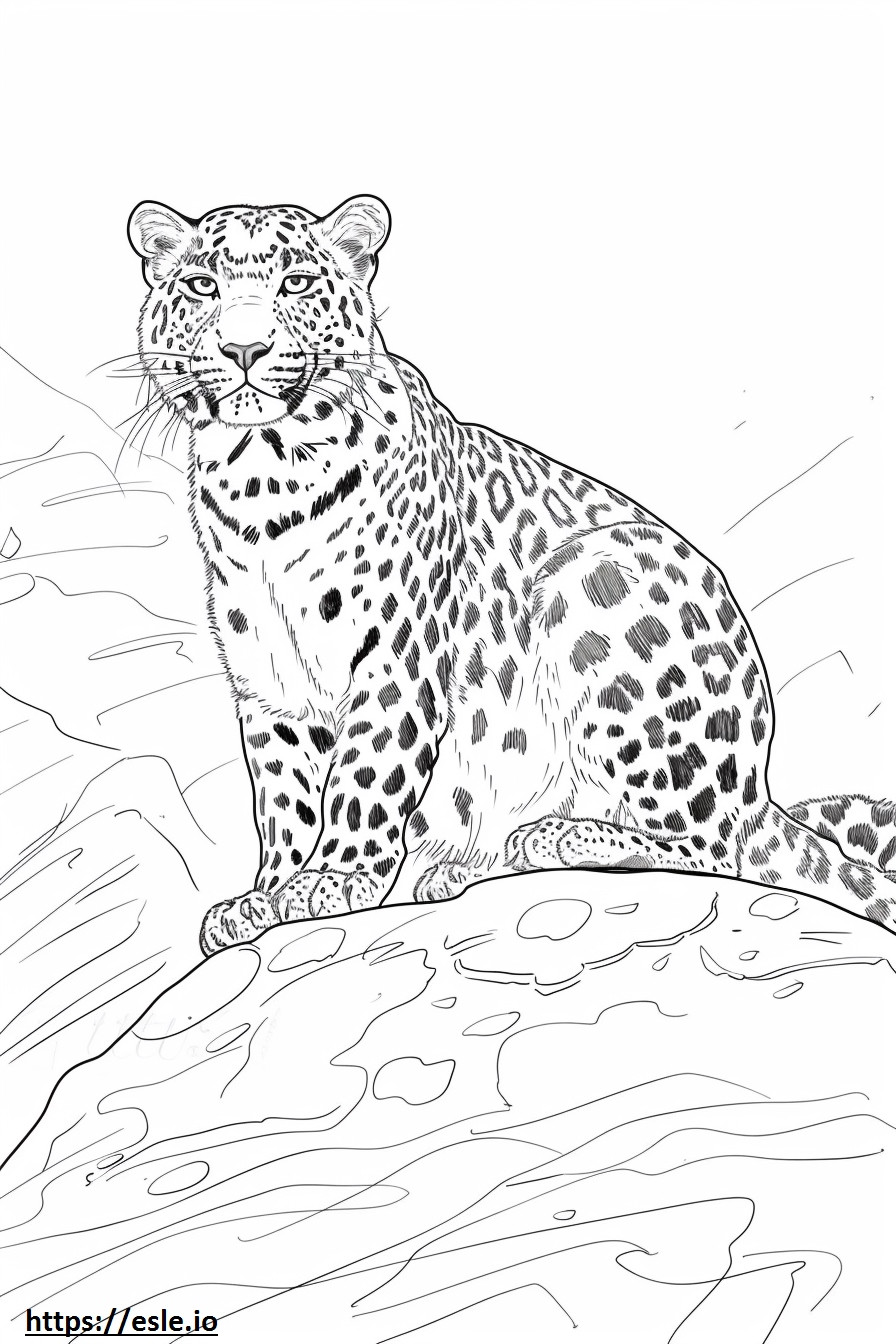 Leopardo de Amur lindo para colorear e imprimir